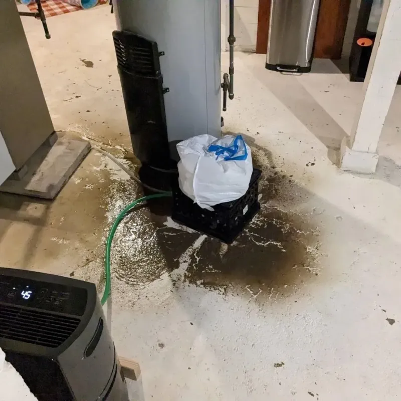 Sewage Backup Cleanup Service in Cape Girardeau, MO